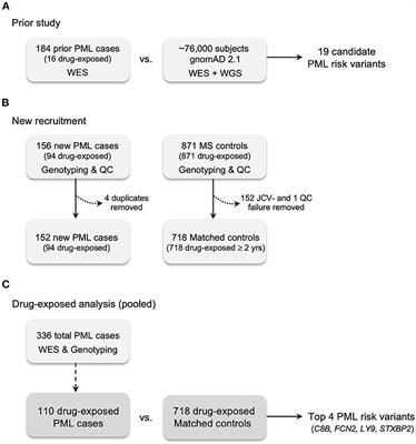 Progressive multifocal leukoencephalopathy genetic risk variants for pharmacovigilance of immunosuppressant therapies